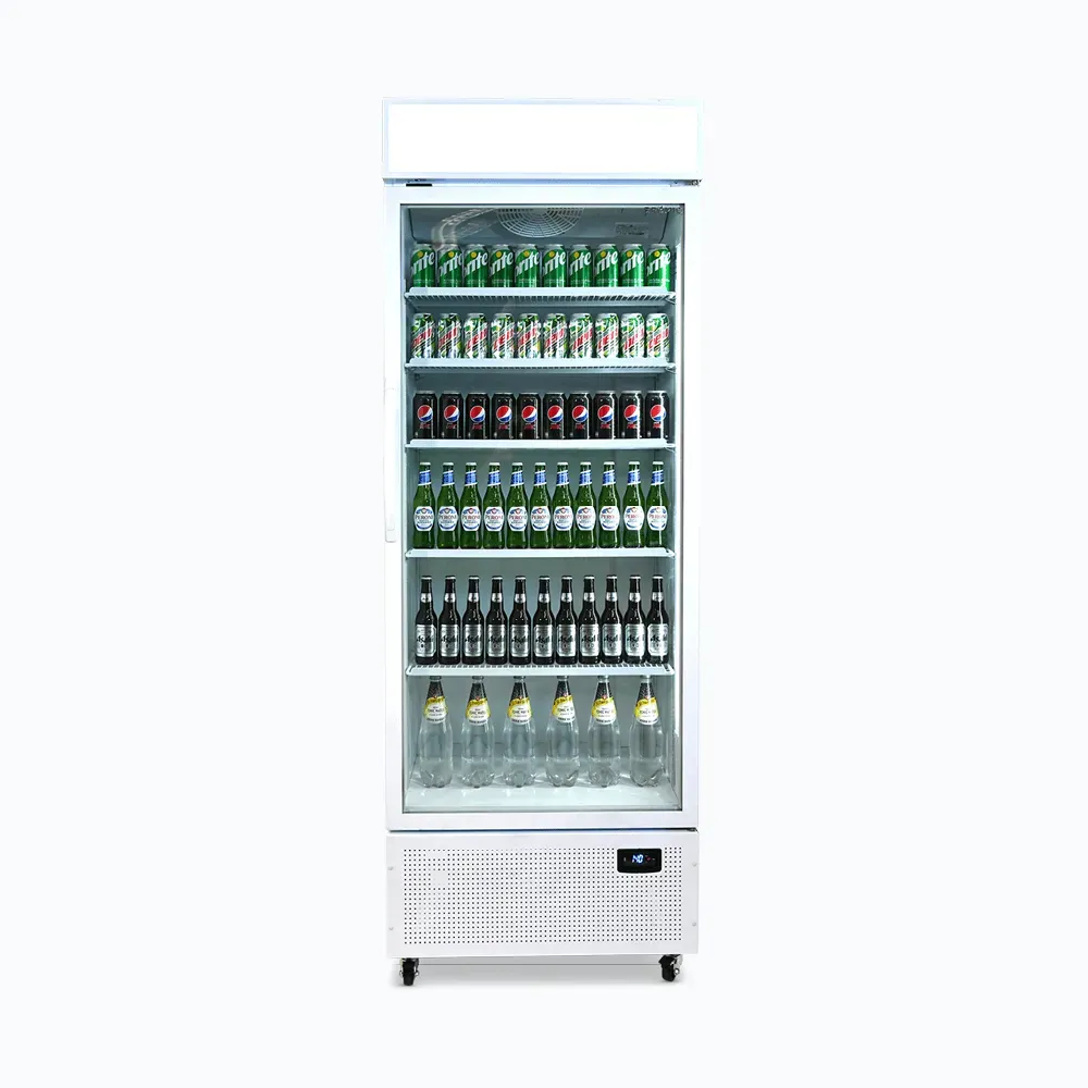 Bromic Upright Display Fridge – 659L – 1 Door – Flat Glass – Lighbox